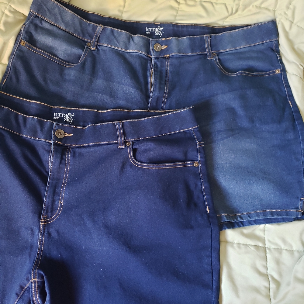 Terra & Sky shorts